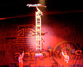 Circo Magnifico